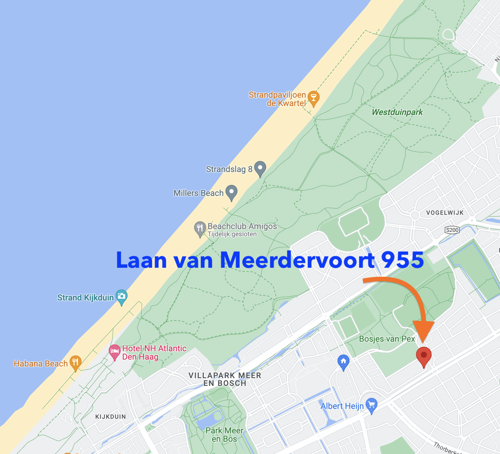 Do-In Yoga praktijkdag locatie Den Haag